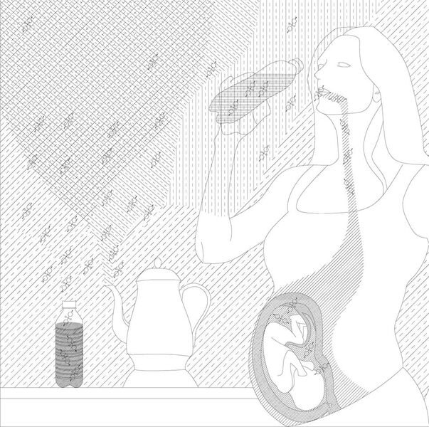BPA,  a  common  binding  component  in  commercial  plastics,  effect s  women  and  their  unborn  children if ingested. BPA leach es  into the water and other products held in BPA bond plastics, but  is also released into the atmosphere, is ingest